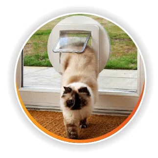 Cat door and cat flap product options Sydney