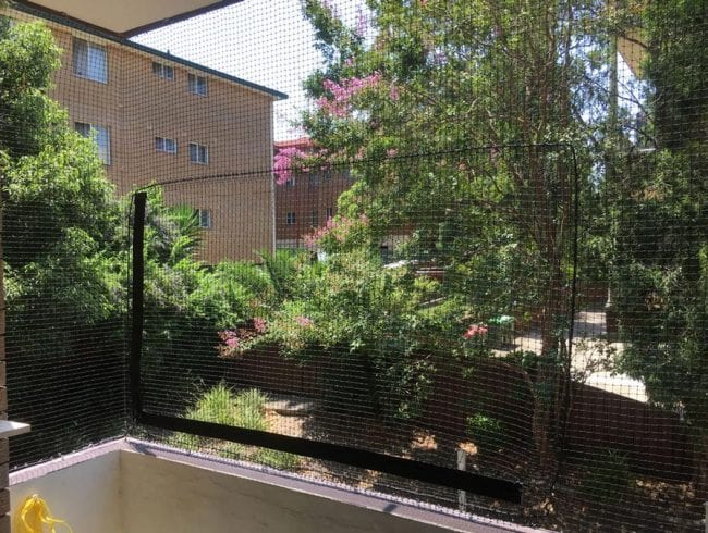 Balcony cat netting installed in Sydney