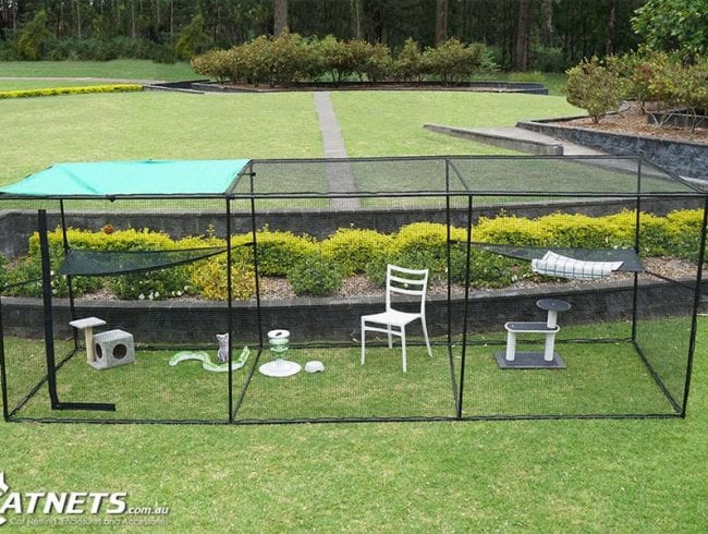 Freestanding outdoor cat enclosure with hammocks and climbing furniture