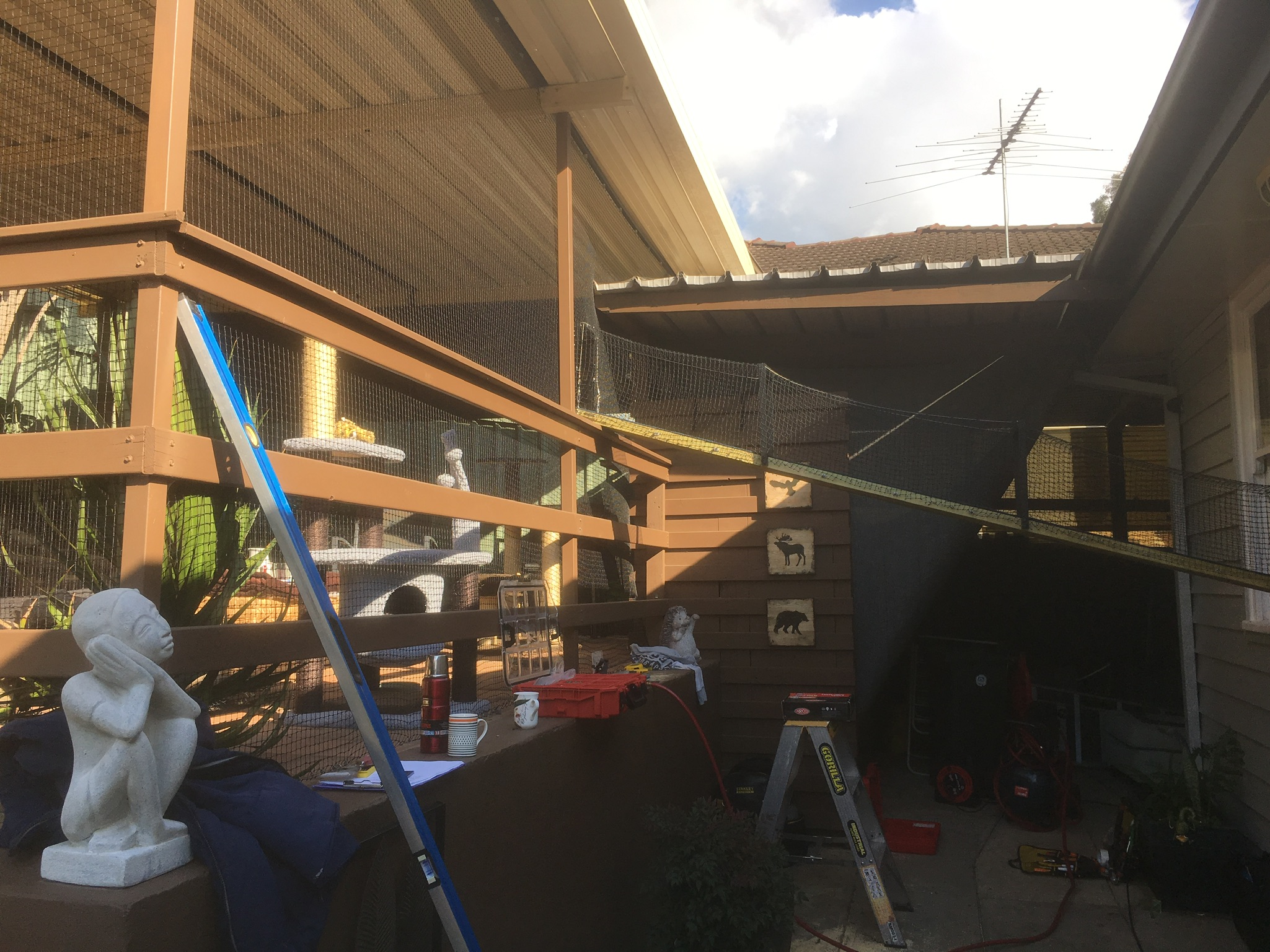 Custom outdoor cat enclosure and climbing run installed in Sydney