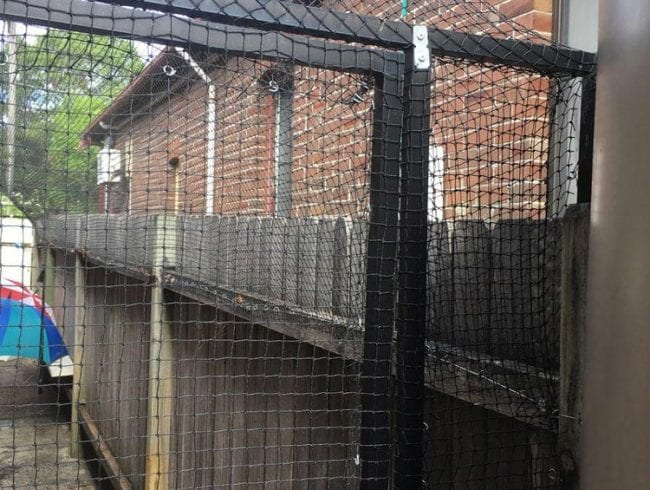 Custom gate installed in a netted cat enclosure