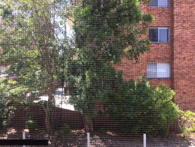 Outdoor cat netting installation