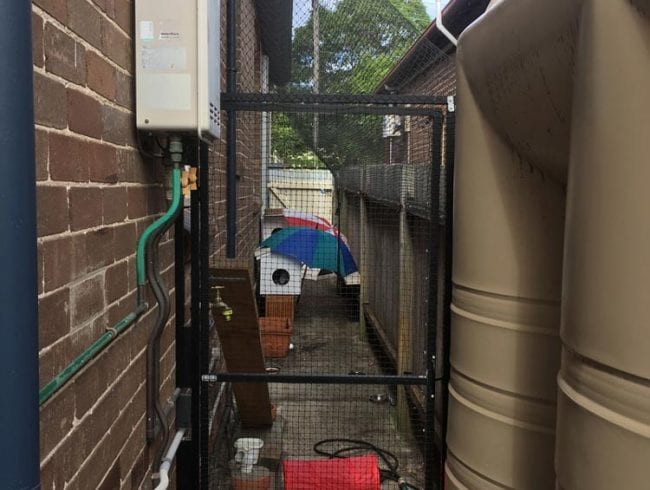 Side passage cat enclosure with access gate