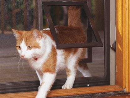 Cat door installed in screen door Sydney