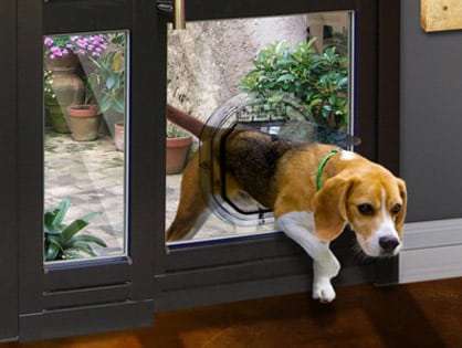 Glass fitting pet door example