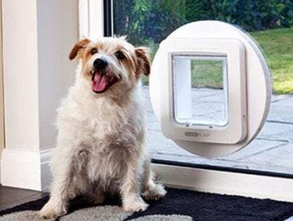 Microchip dog door installation Sydney