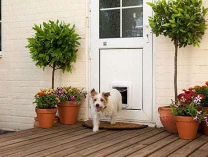 Timber pet door installation example