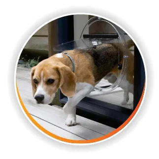 Dog door and cat flap product options for Sydney pet door installation