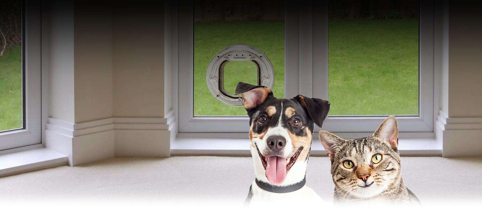 Dog and cat beside a pet door installed in glass
