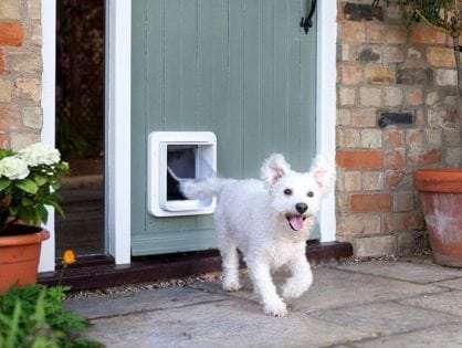 Dog door types article