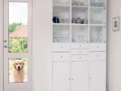 Pet door benefits article